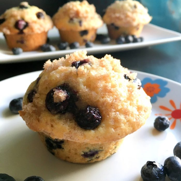 blueberry muffin up close