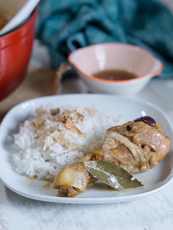 braised poultry with rice in a plate